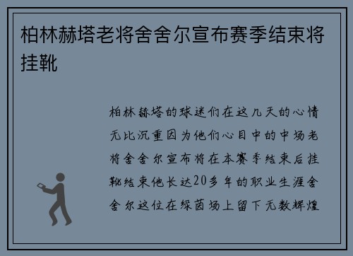 柏林赫塔老将舍舍尔宣布赛季结束将挂靴